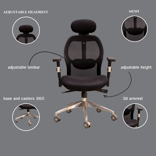 Executive Plus Sculpted Lumbar Mesh Chair