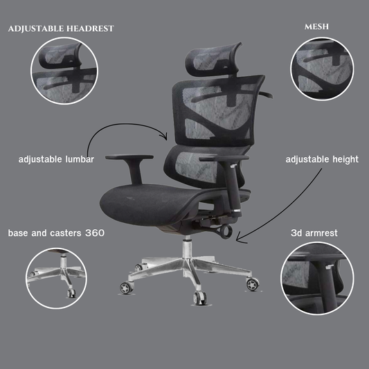Executive Plus Pro Ergonomic Mesh Chair