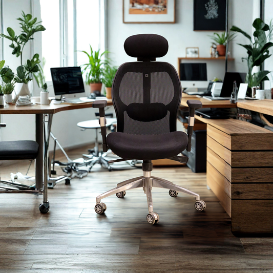 Executive Plus Sculpted Lumbar Mesh Chair